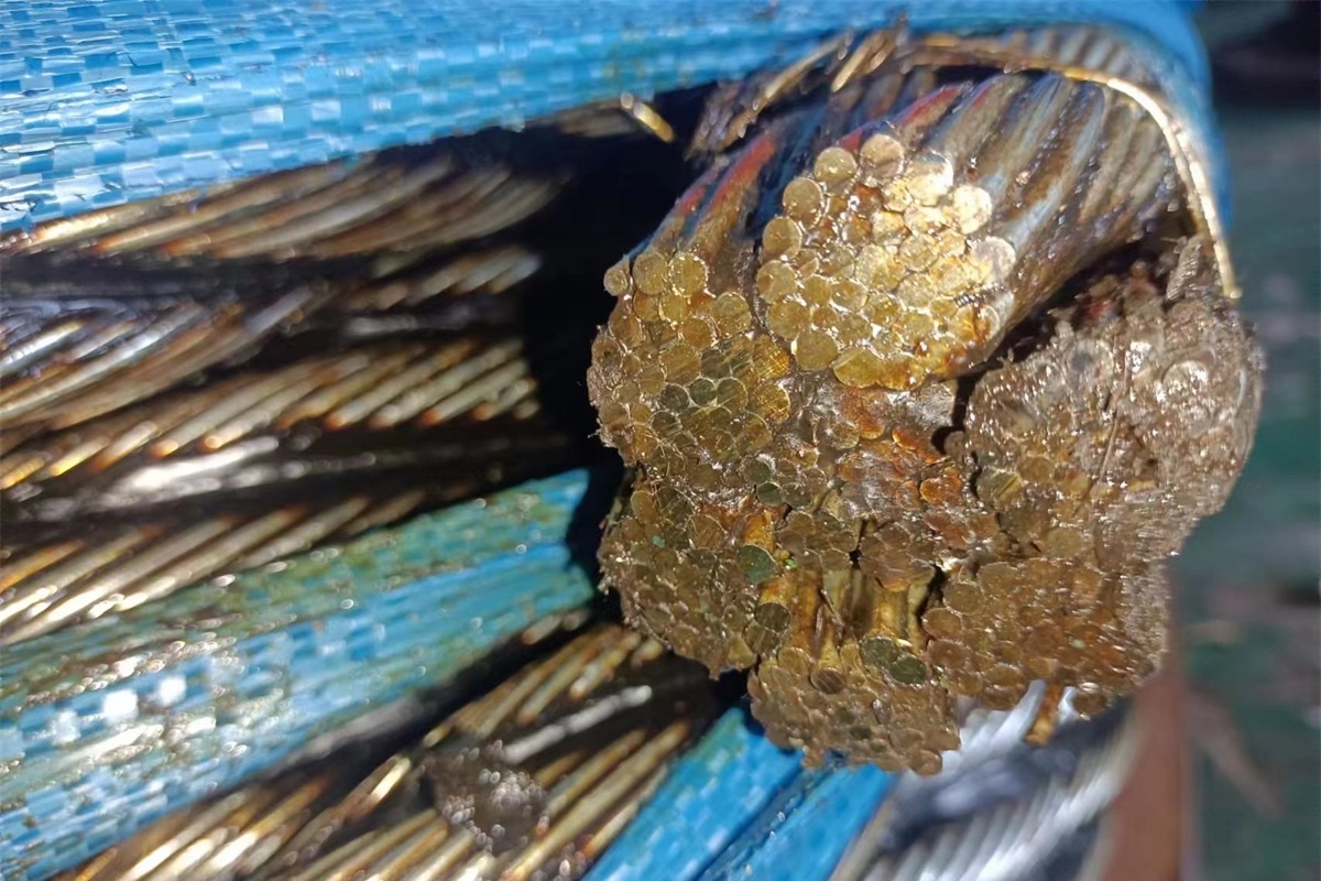 The IWRC Structure of the Steel Wire Rope - Part 2